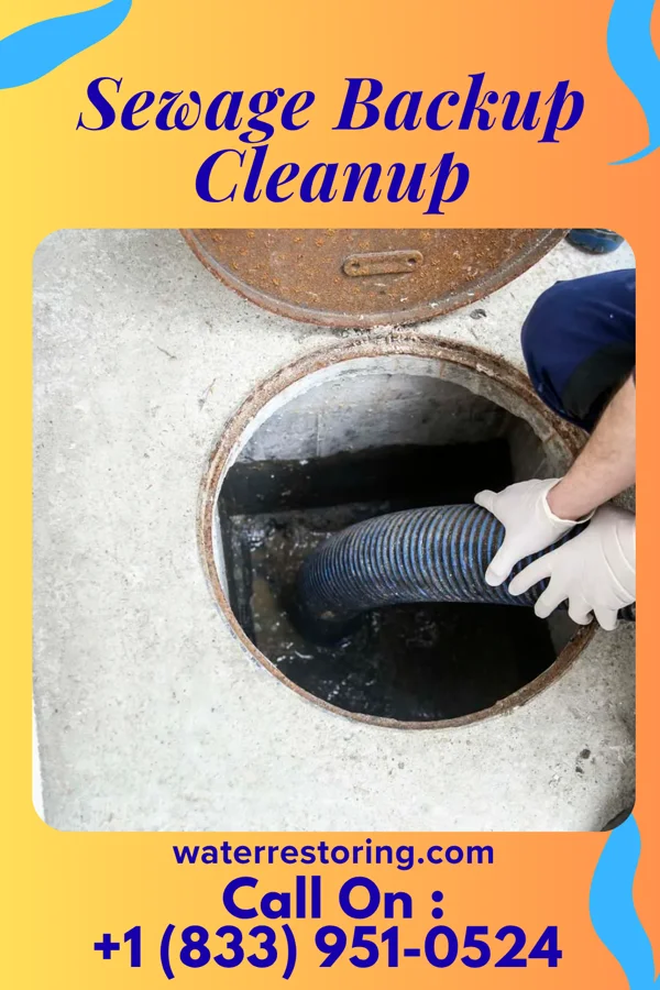 Sewage Backup Cleanup in Surf City, NC